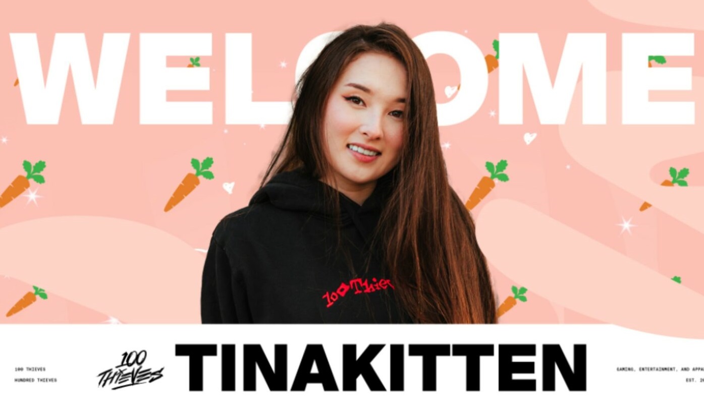 Tinakitten Merch bg - Pen Fidget